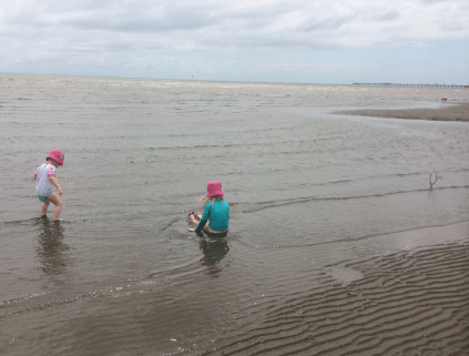 Sandgate mudflats - clean - Heidi Edmonds